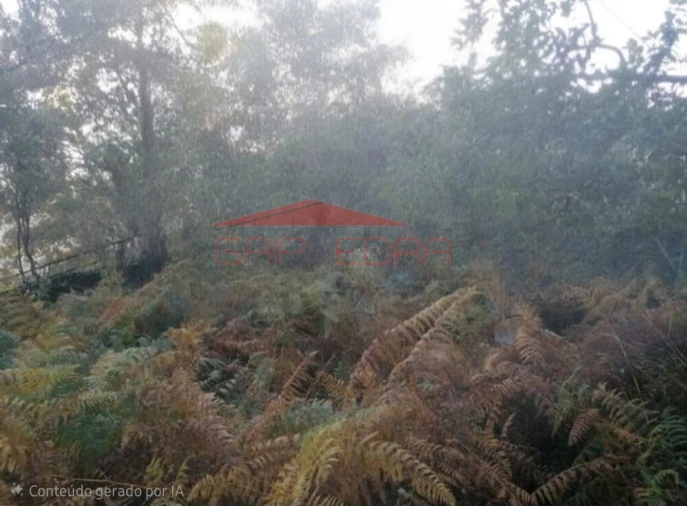 Terreno para Venda em Azias Foto 9