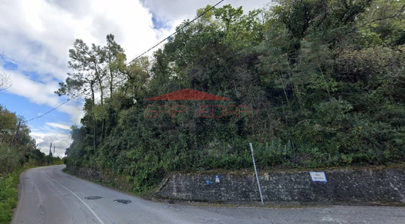 Terreno para Venda em Santa Clara e Castelo Viegas Foto 2