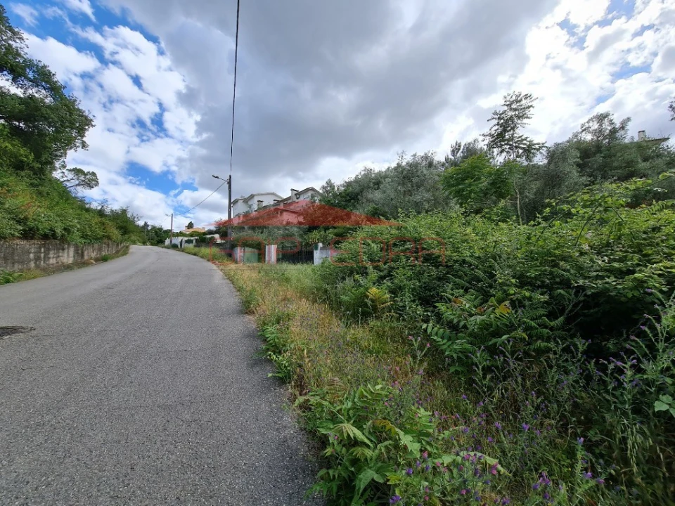 Terreno para Venda em Santa Clara e Castelo Viegas Foto 1