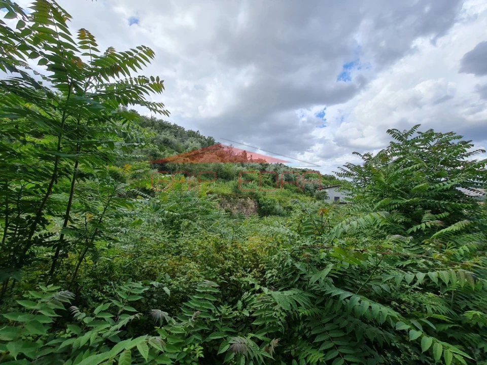 Terreno para Venda em Santa Clara e Castelo Viegas Foto 6