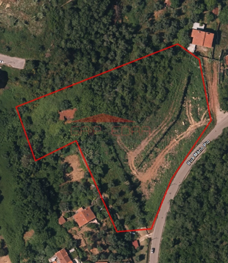 Terreno para Venda em Santa Clara e Castelo Viegas Foto 7