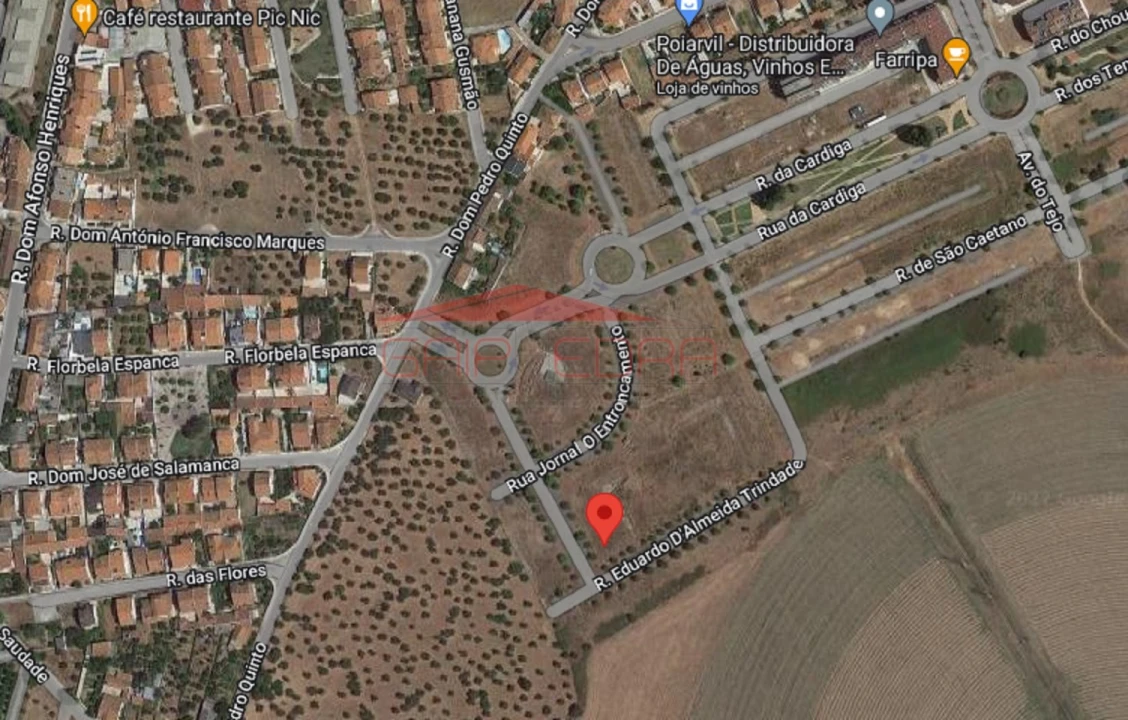 Terreno para Venda em São João Baptista Foto 3