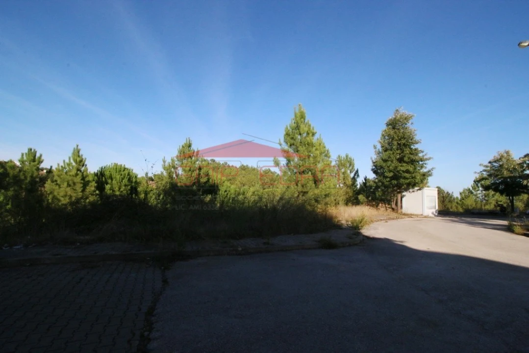 Terreno para Venda em Abrantes (São Vicente e São João) e Alferrarede Foto 4