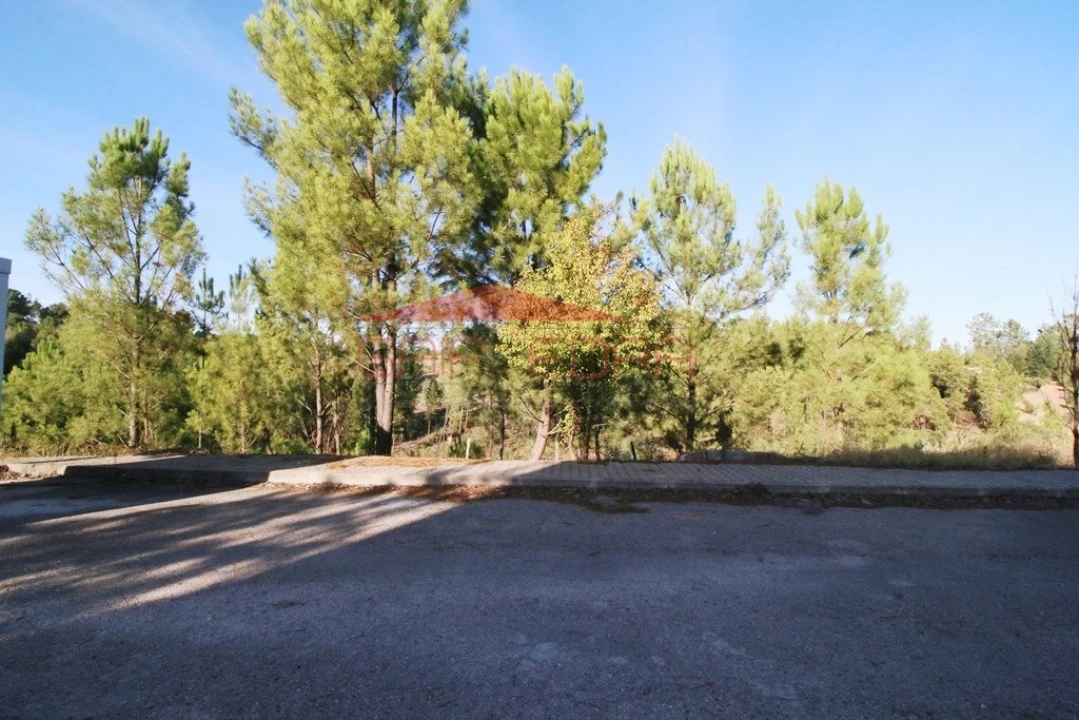 Terreno para Venda em Abrantes (São Vicente e São João) e Alferrarede Foto 7