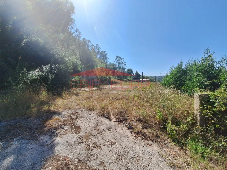 Terreno para Venda em Trofa, Segadães e Lamas do Vouga Foto 3