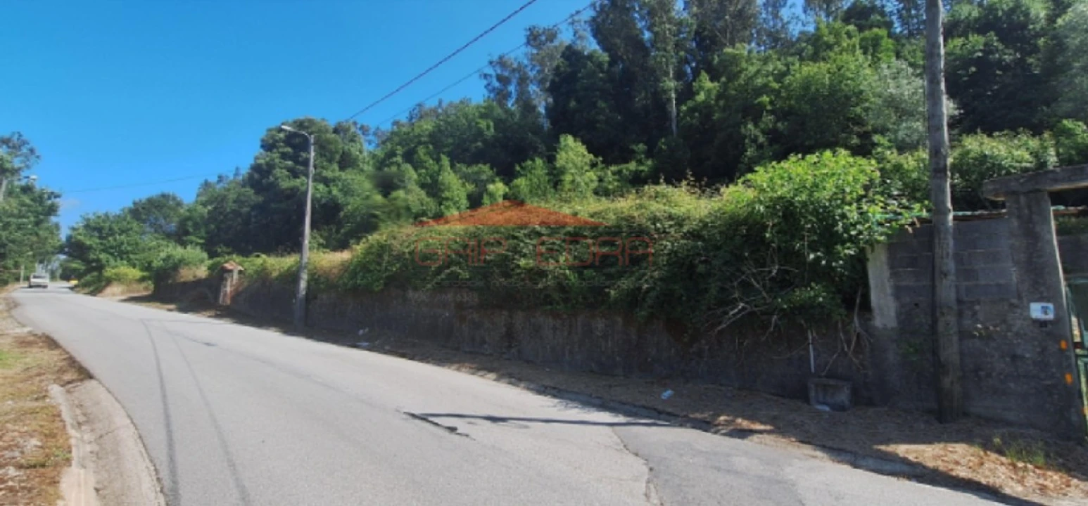 Terreno para Venda em Trofa, Segadães e Lamas do Vouga Foto 4