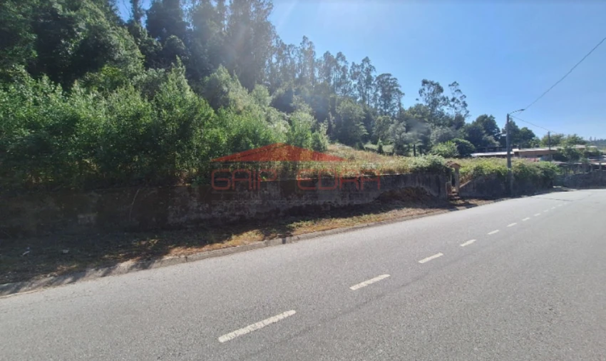 Terreno para Venda em Trofa, Segadães e Lamas do Vouga Foto 1