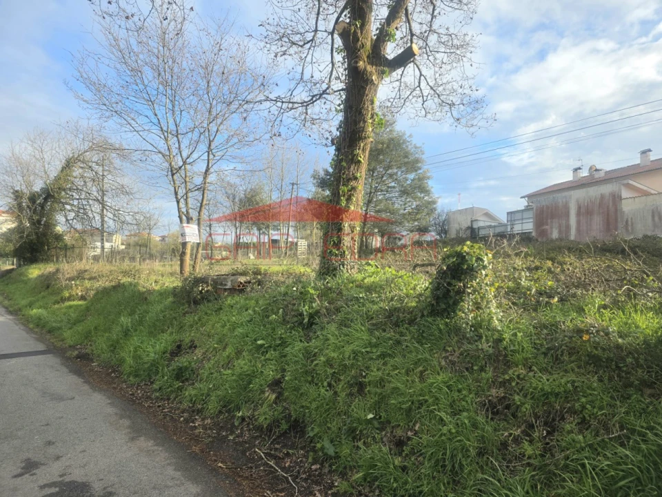 Terreno para Venda em Oiã Foto 2