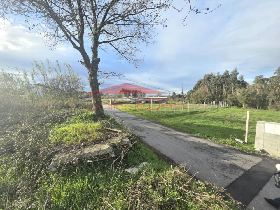 Terreno para Venda em Oiã Foto 3