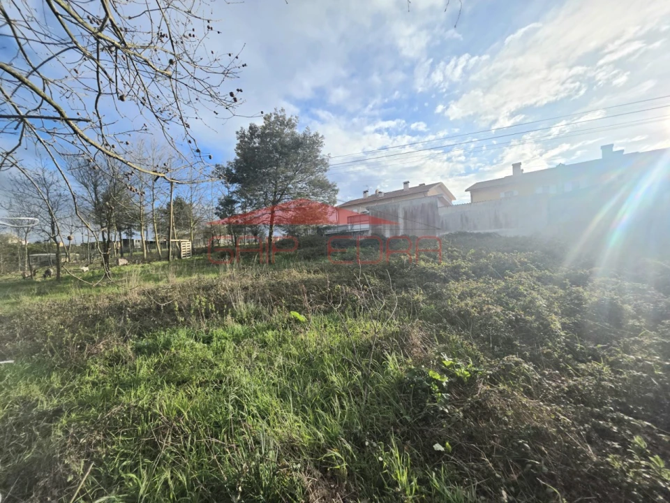 Terreno para Venda em Oiã Foto 4