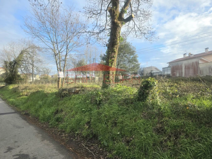 Terreno para Venda em Oiã Foto 2