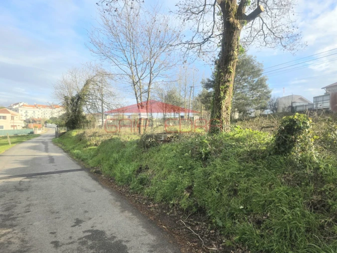 Terreno para Venda em Oiã Foto 6