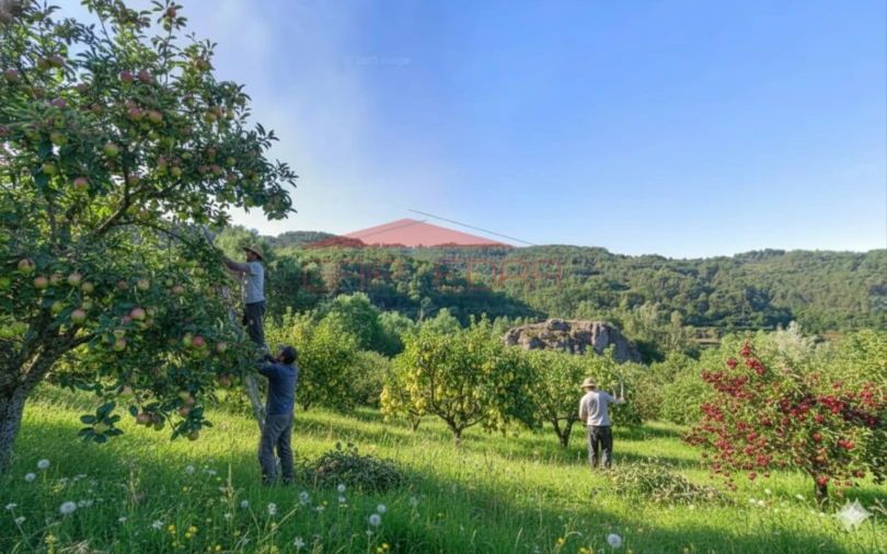 Terreno para Venda em Fornelos Foto 1