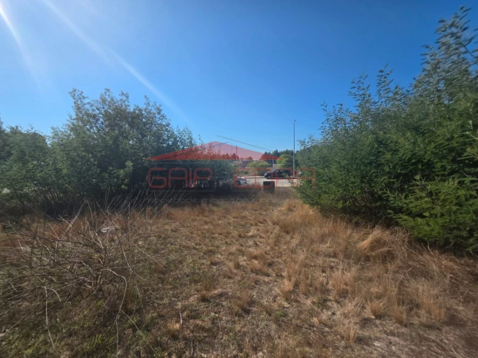Terreno para Venda em Ovar, São João, Arada e São Vicente de Pereira Jusã Foto 5