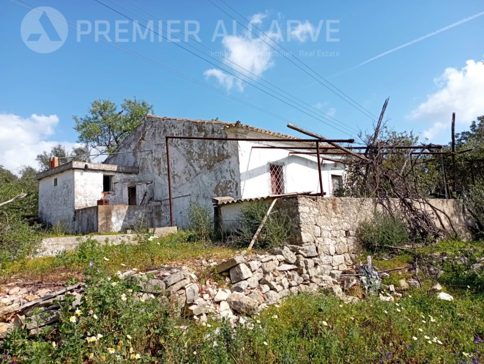 Terreno para Venda em Loule (São Clemente) Foto 3