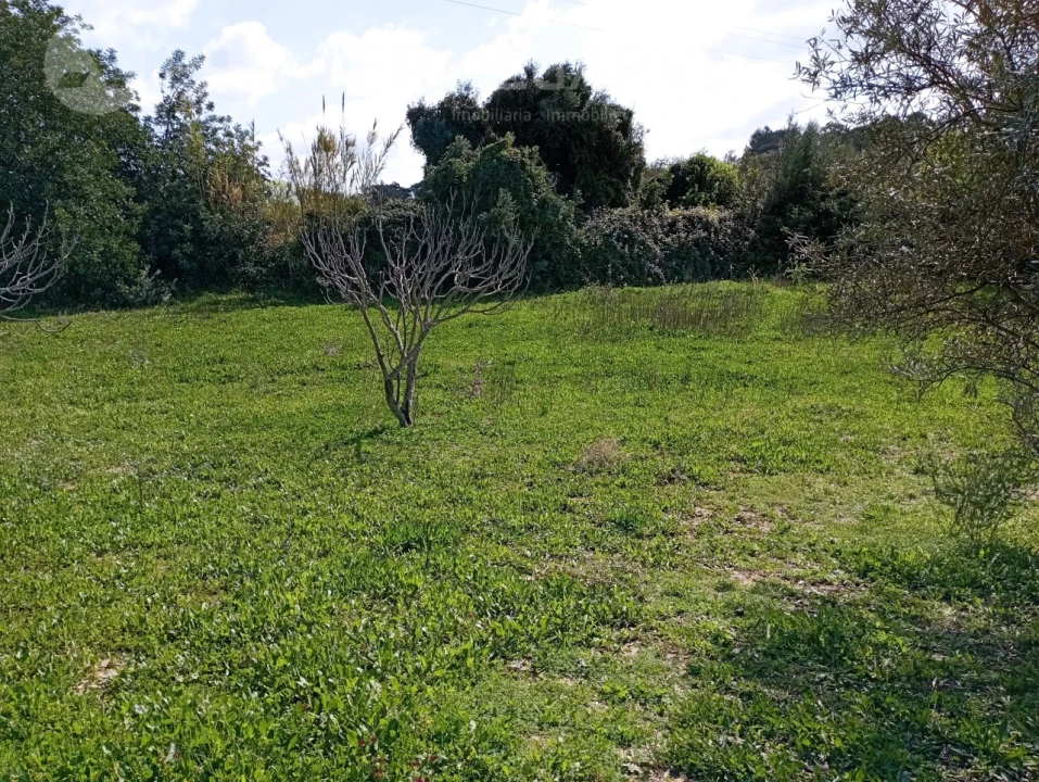 Terreno para Venda em Loule (São Clemente) Foto 6