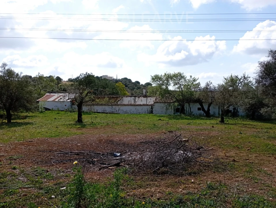 Terreno para Venda em Loule (São Clemente) Foto 1