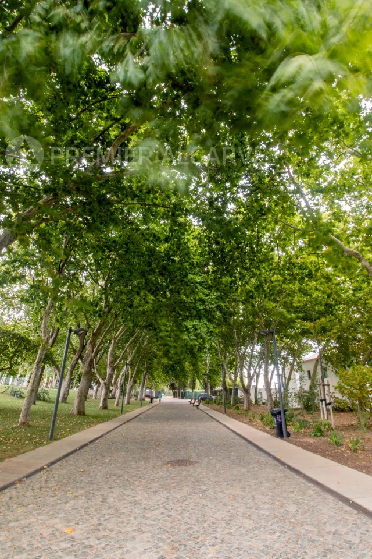 Terreno para Venda em Loule (São Clemente) Foto 7