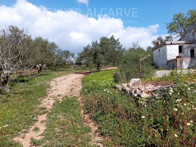 Terreno para Venda em Loule (São Clemente) Foto 2