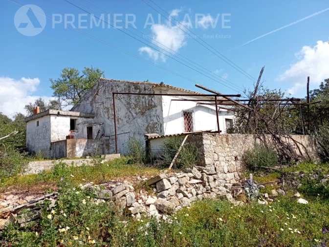 Terreno para Venda em Loule (São Clemente) Foto 3