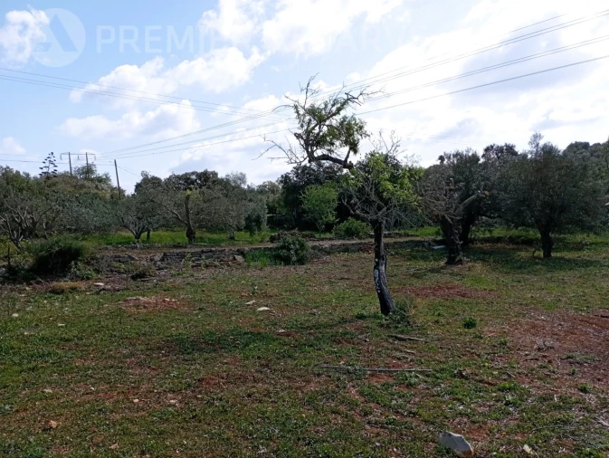 Terreno para Venda em Loule (São Clemente) Foto 5