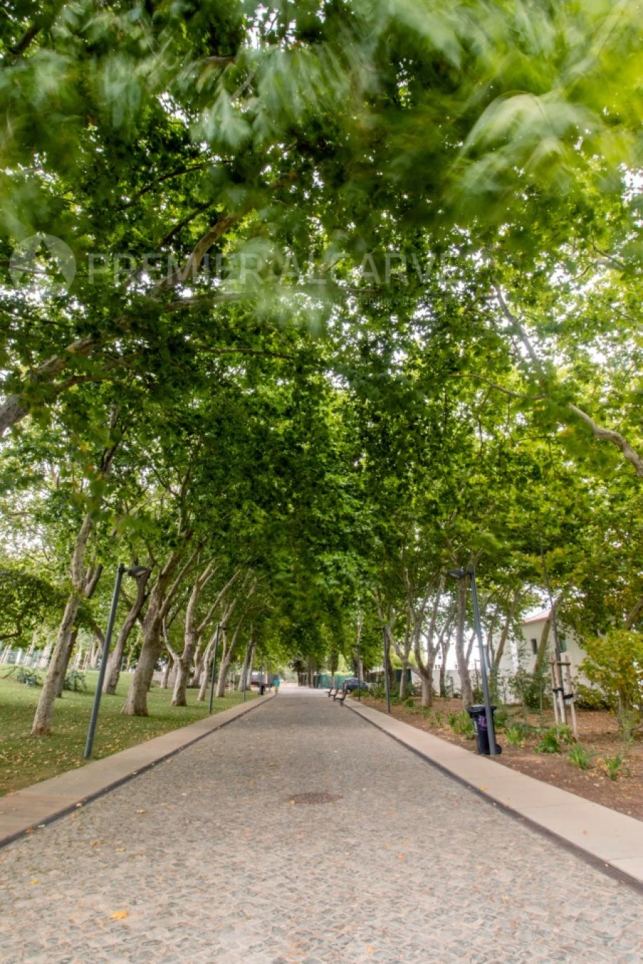 Terreno para Venda em Loule (São Clemente) Foto 7