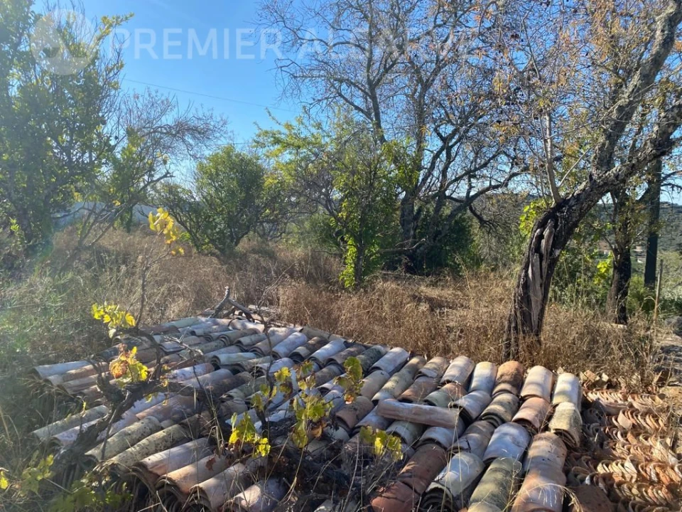 Terreno para Venda em São Brás de Alportel Foto 8