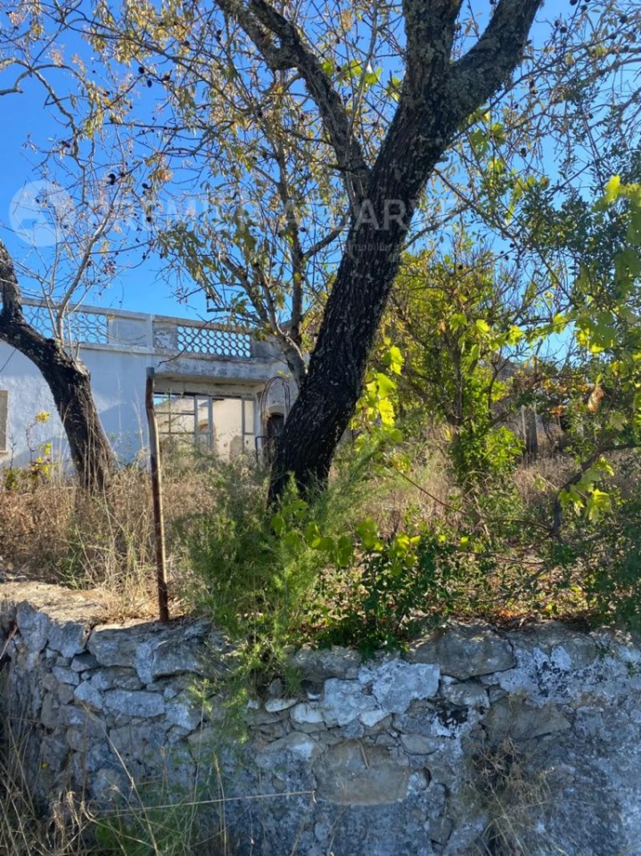 Terreno para Venda em São Brás de Alportel Foto 6