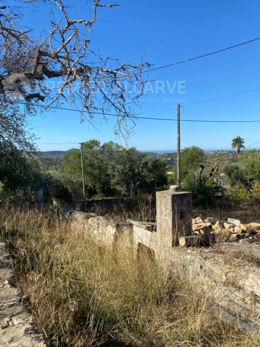 Terreno para Venda em São Brás de Alportel Foto 7
