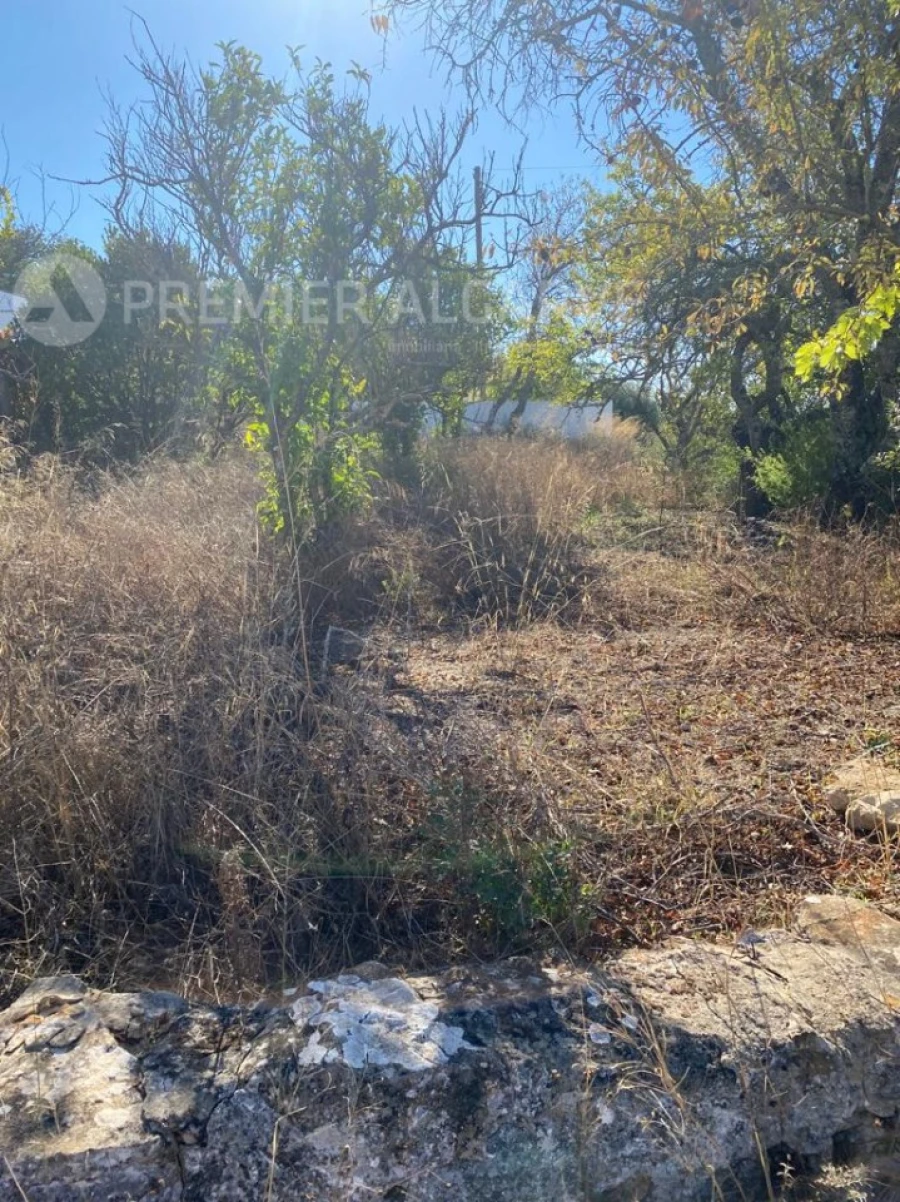 Terreno para Venda em São Brás de Alportel Foto 9