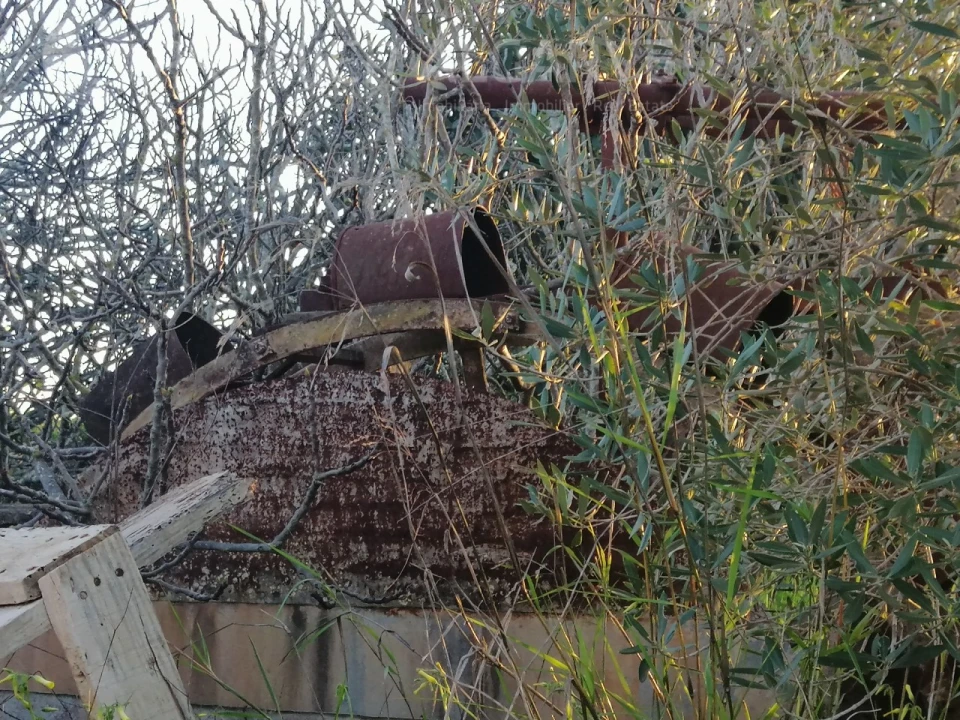 Terreno para Venda em Luz de Tavira e Santo Estêvão Foto 9