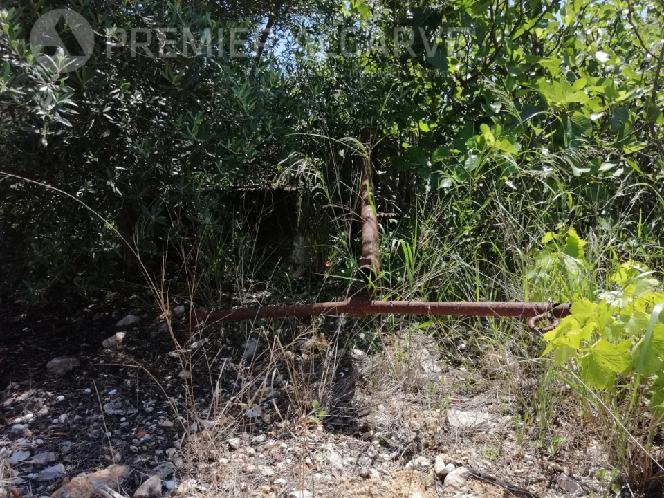 Terreno para Venda em Luz de Tavira e Santo Estêvão Foto 12