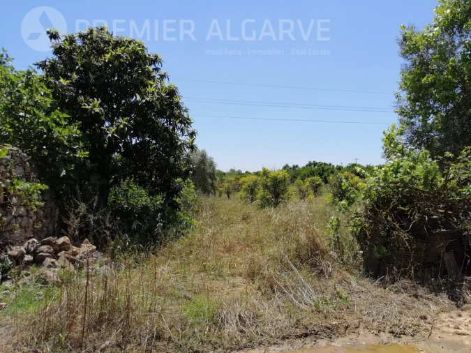 Terreno para Venda em Luz de Tavira e Santo Estêvão Foto 11