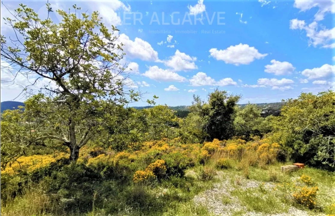 Terreno para Venda em Santa Barbara de Nexe Foto 1