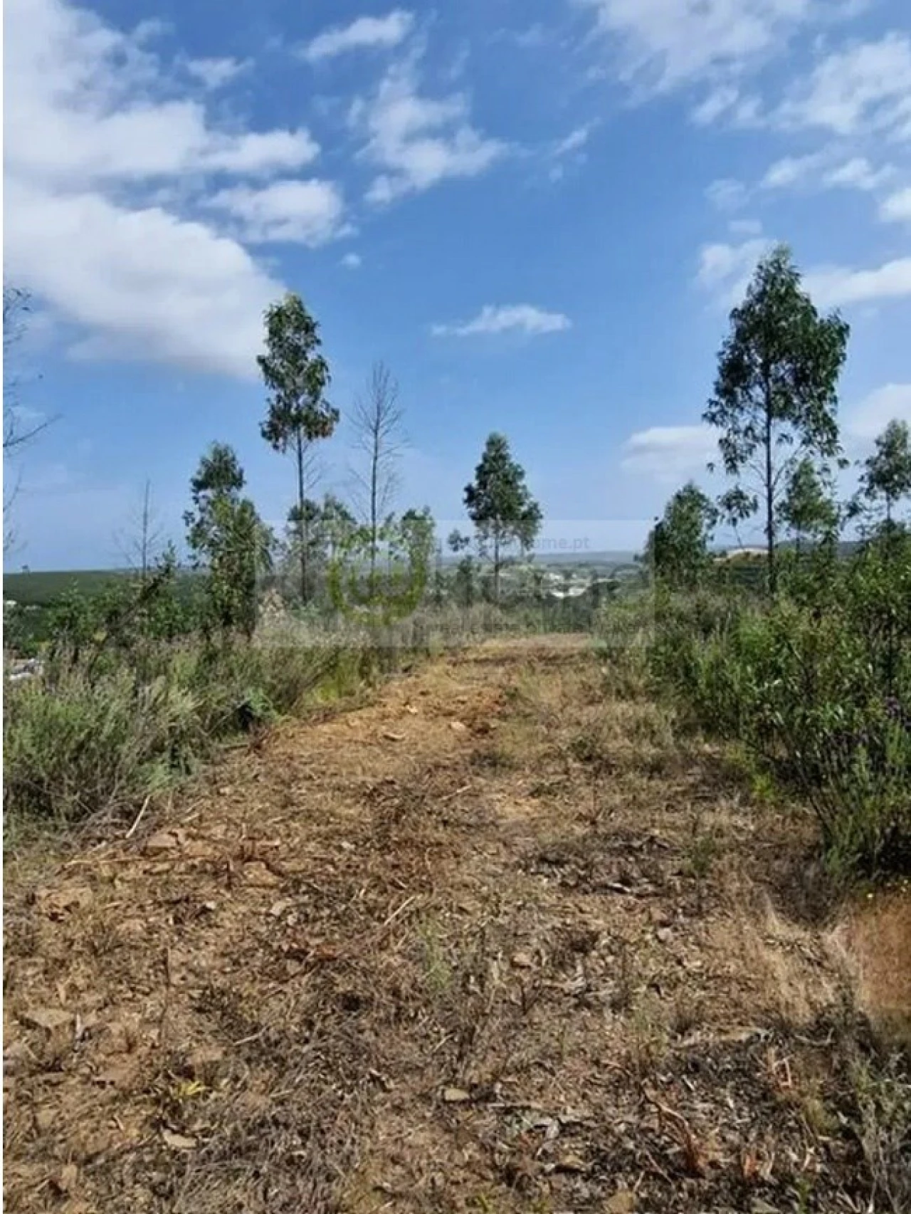Terreno para Venda em Portimão Foto 8