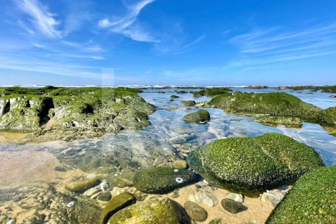 Terreno para Venda em Porto Covo Foto 12