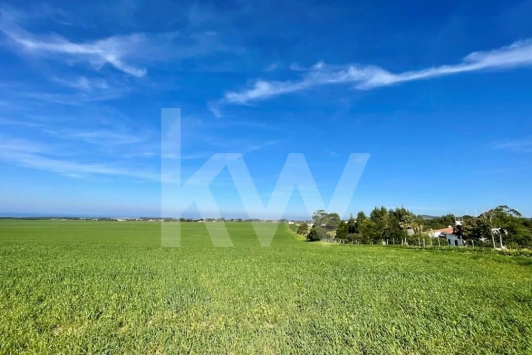Terreno para Venda em Porto Covo Foto 21
