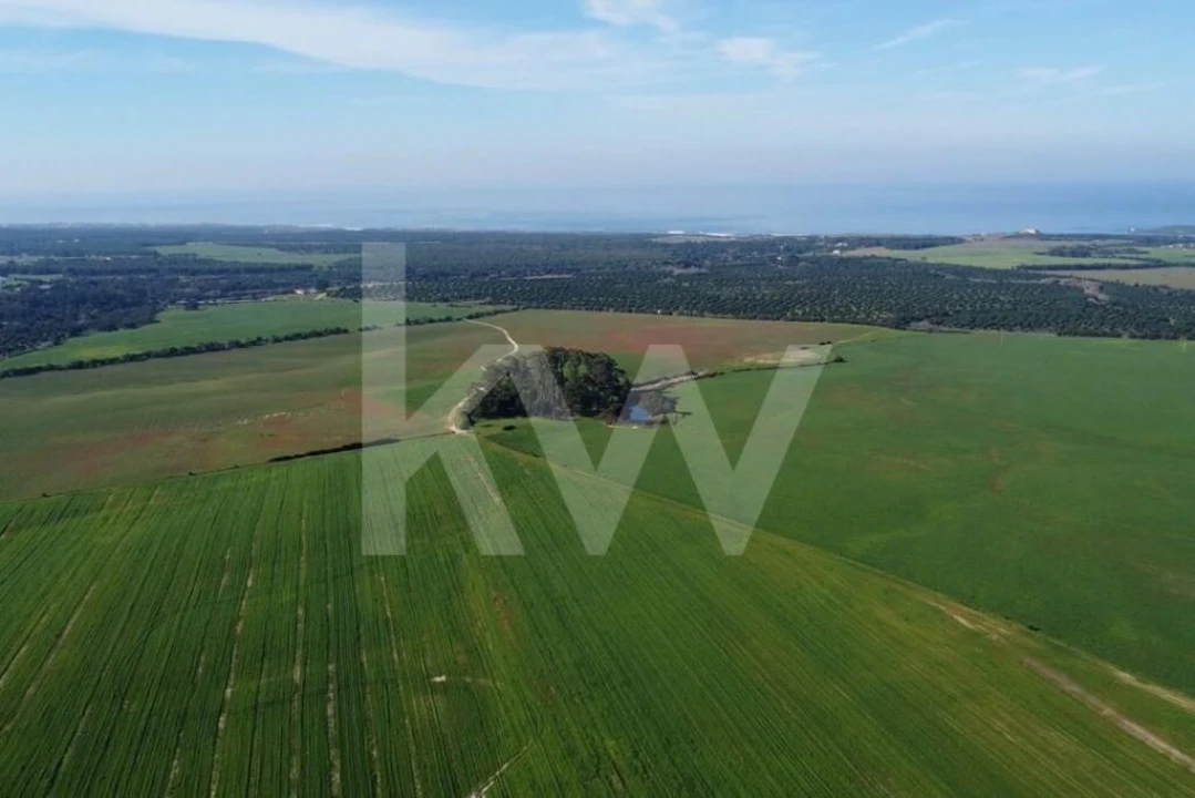 Terreno para Venda em Porto Covo Foto 5