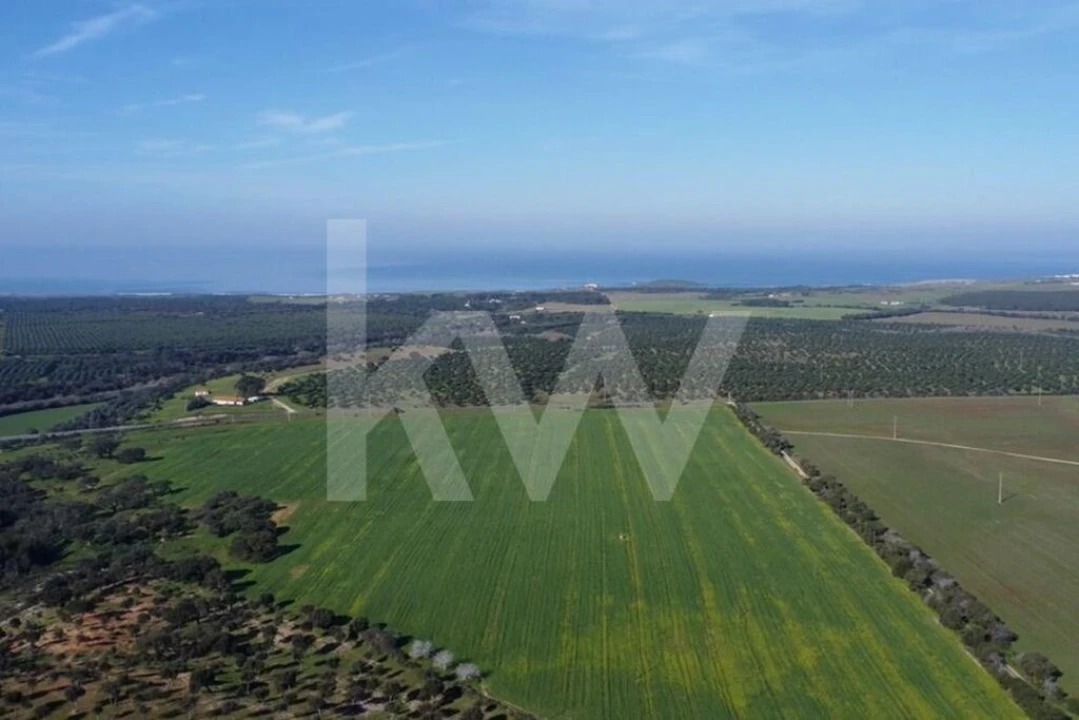 Terreno para Venda em Porto Covo Foto 6