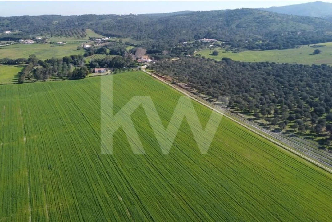 Terreno para Venda em Porto Covo Foto 15