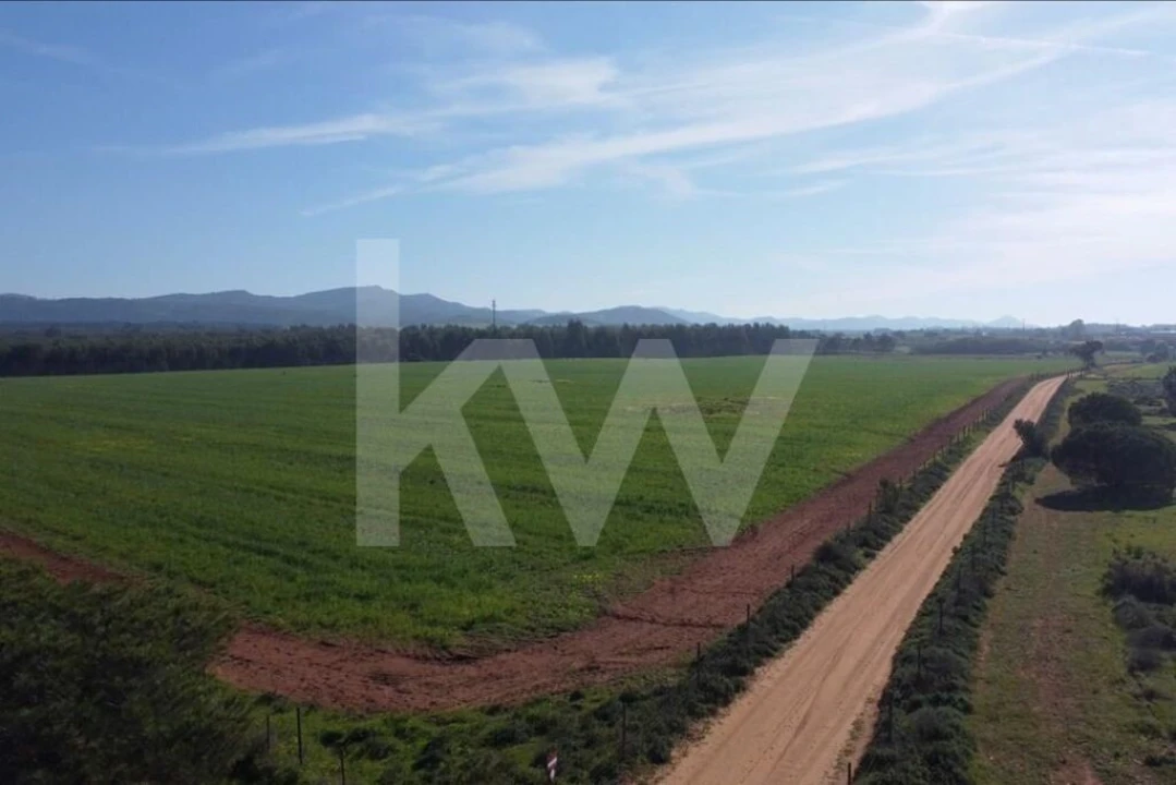 Terreno para Venda em Porto Covo Foto 19