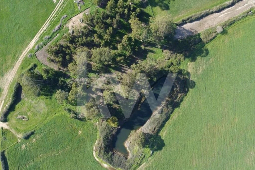 Terreno para Venda em Porto Covo Foto 33