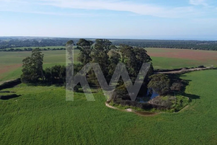 Terreno para Venda em Porto Covo Foto 4