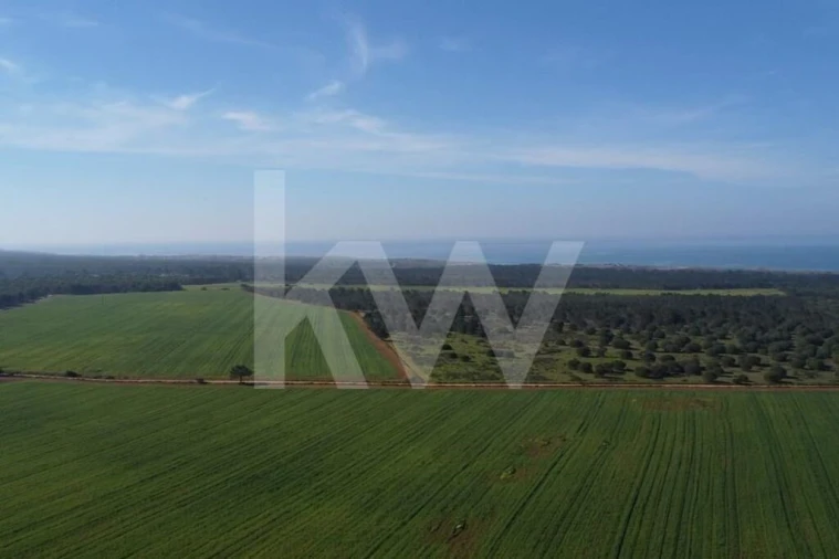 Terreno para Venda em Porto Covo Foto 27