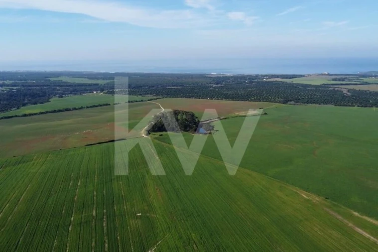 Terreno para Venda em Porto Covo Foto 5