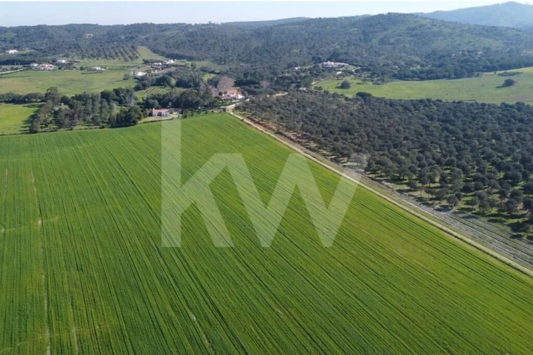 Terreno para Venda em Porto Covo Foto 15