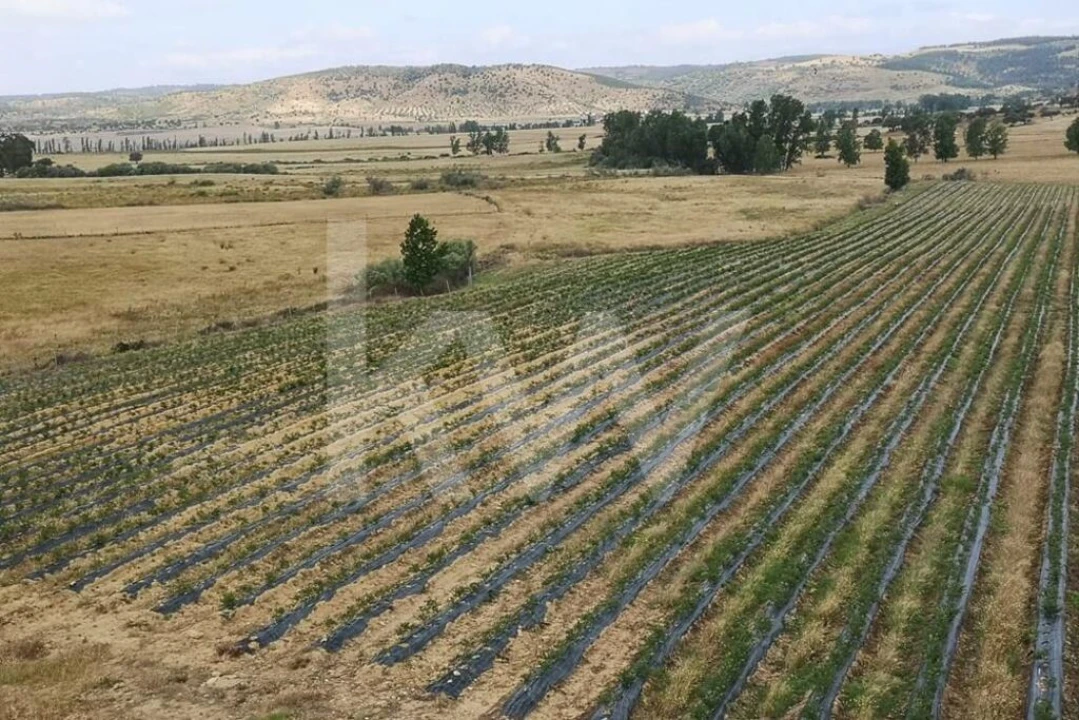 Terreno para Venda em Ladoeiro Foto 19