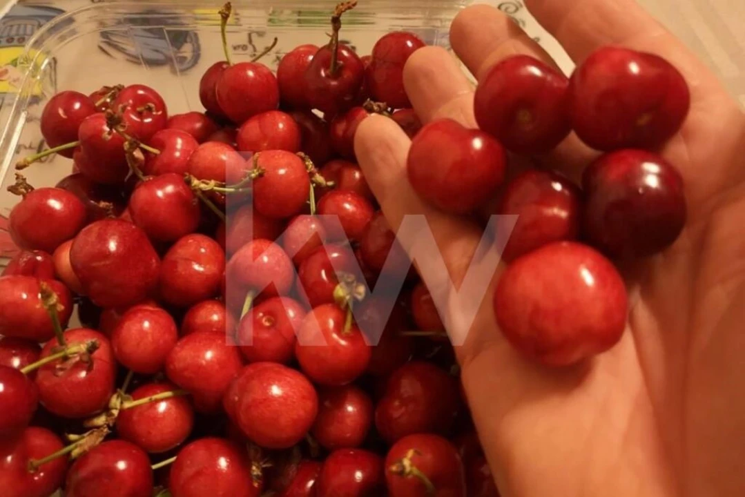 Terreno para Venda em Ladoeiro Foto 24