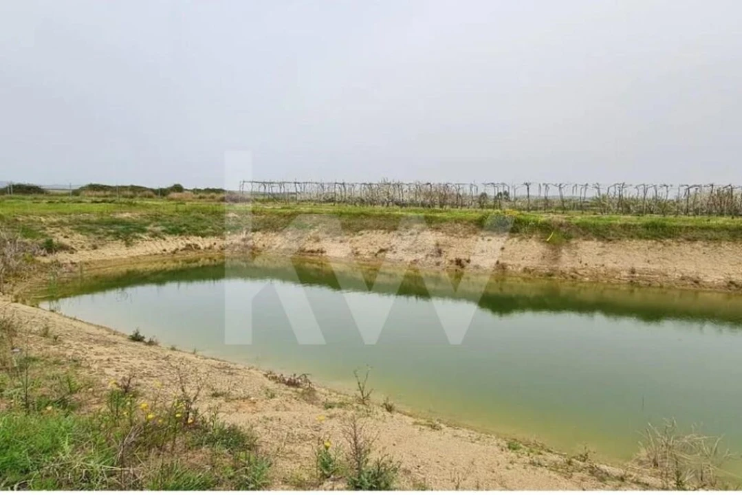 Terreno para Venda em Ladoeiro Foto 46