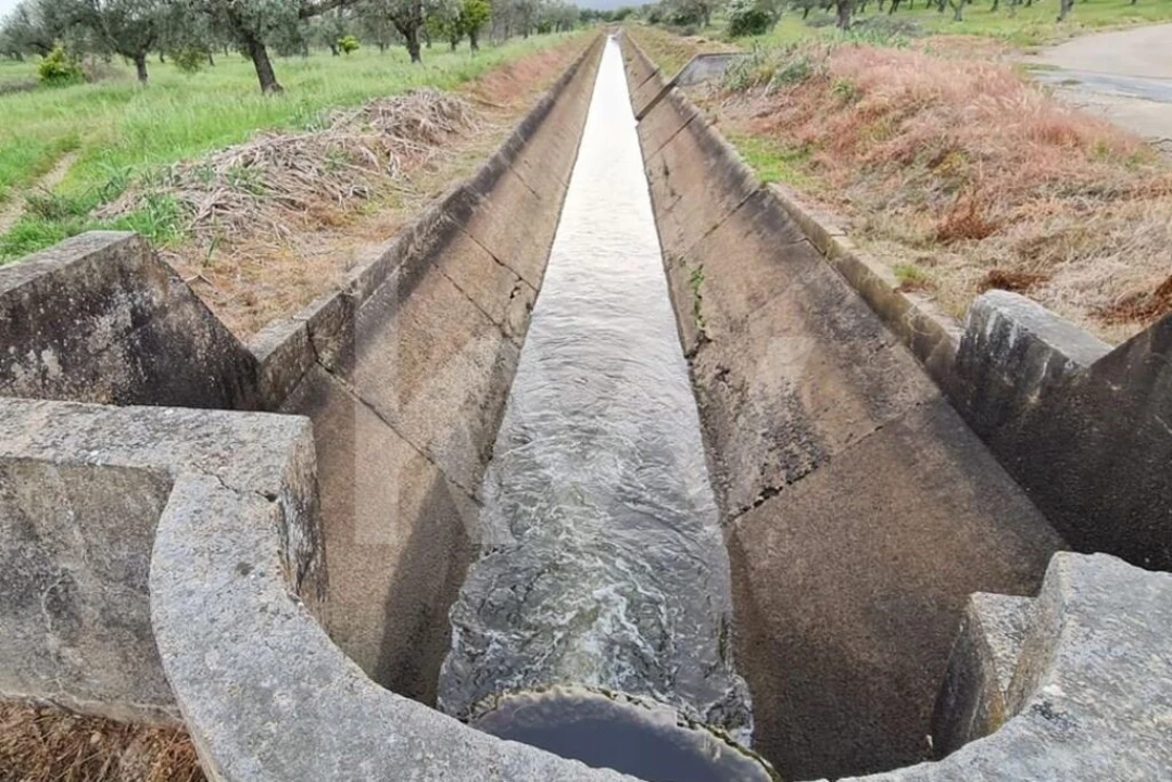 Terreno para Venda em Ladoeiro Foto 48